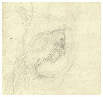 Visualizza l'immagine "FD D 1316"